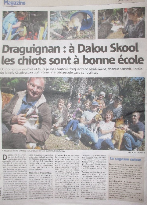 Des Eaux Vives de Tourtour - L'école du chiot  Dalou skool sur le journal Var Matin
